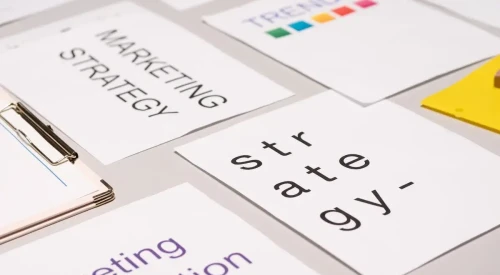Brand Portfolio
